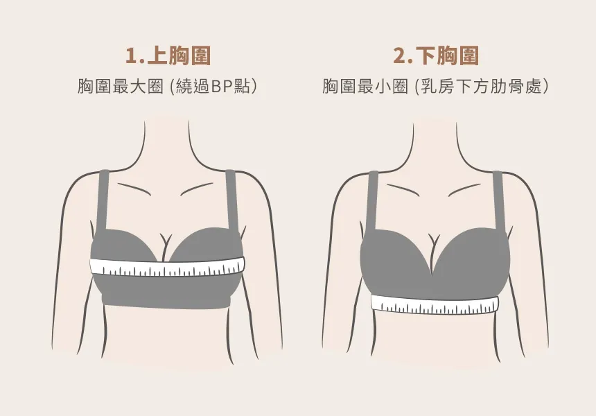 胸围测量方法图片